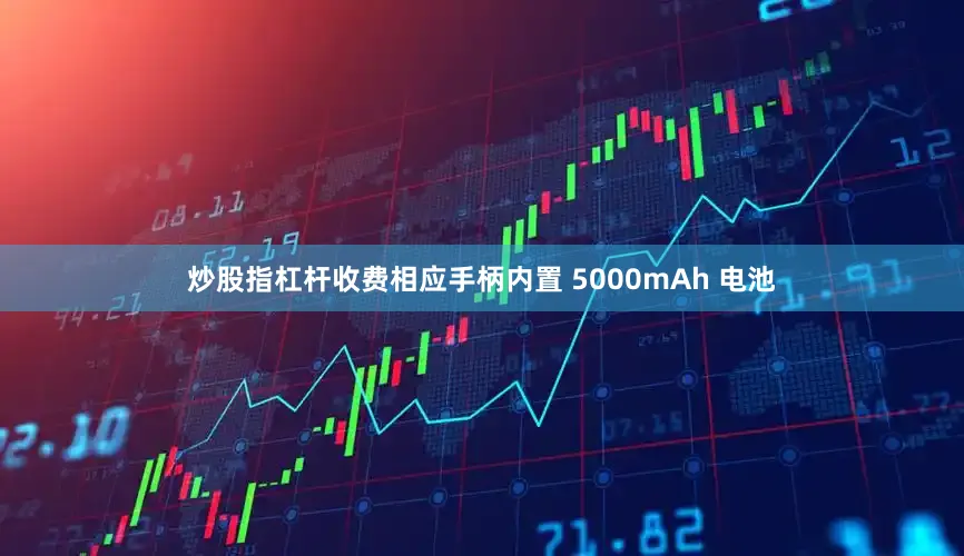 炒股指杠杆收费相应手柄内置 5000mAh 电池
